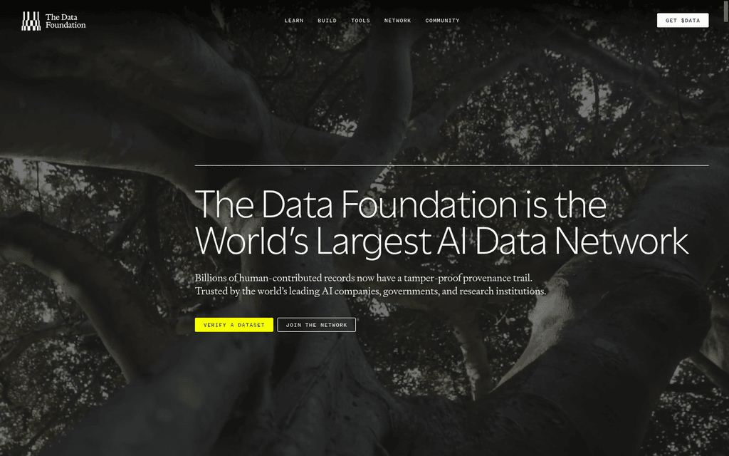The Data Foundation