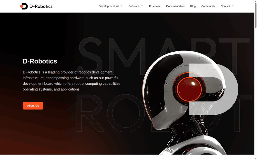 D-Robotics